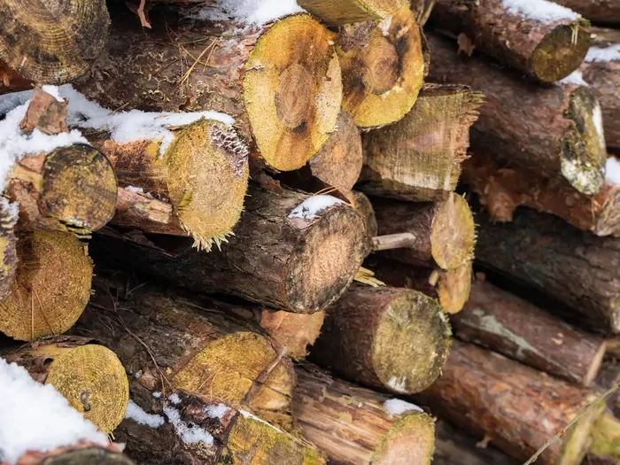 Ceny drewna opałowego luty 2026