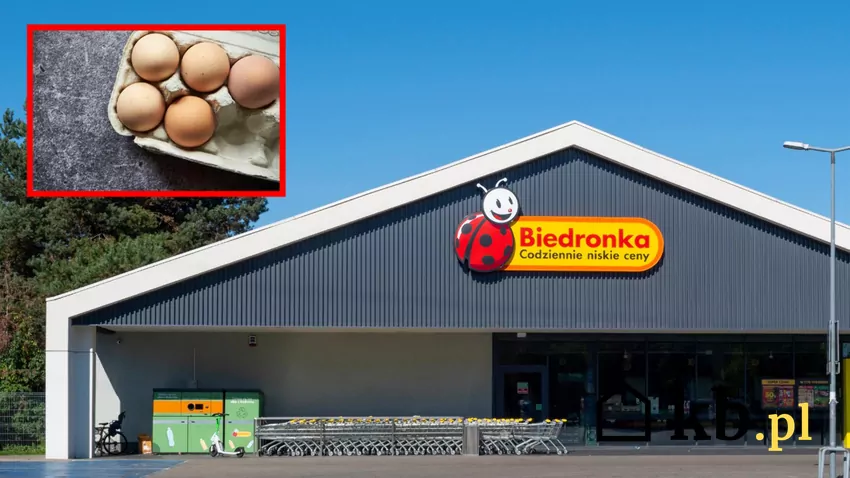 Biedronka - sklep