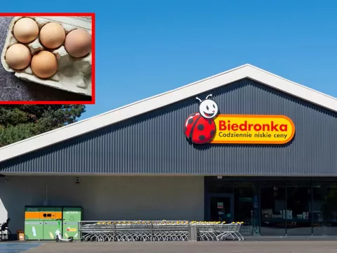 Skąd pochodzą jajka z Biedronki?