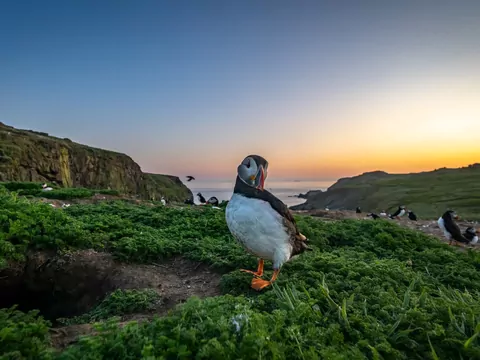 Darmowy pobyt na wyspie