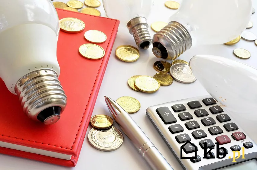 Podpowiadamy, jak wybrać odpowiednią taryfę prądu żarówki i monety