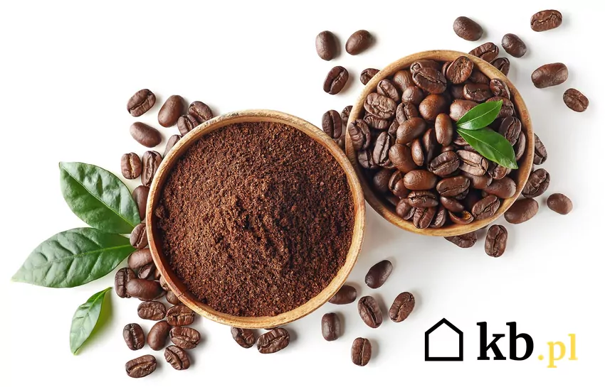 Biedronka obniża ceny kultowej kawy