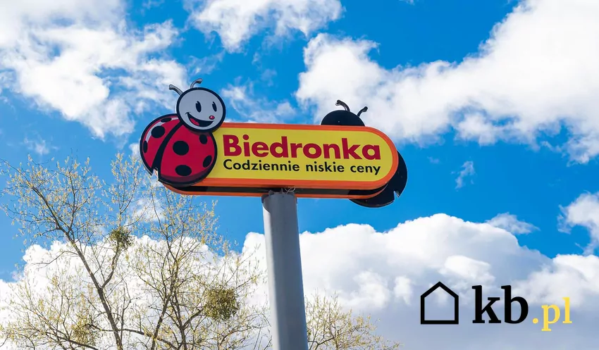 Przegląd gazetki Biedronki z dn. 23-28.02 Biedronka