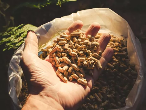 Palenie zbożem w kotłach na pellet