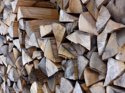 Najlepsze drewno na opał według internautów