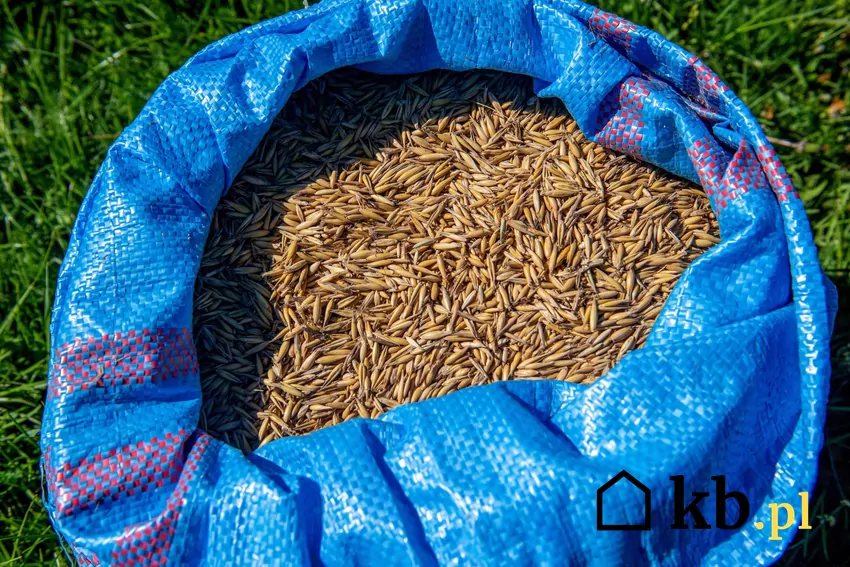 worek ze zbożem