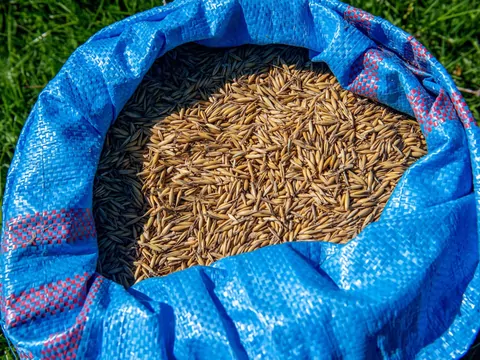 Pellet przestał się opłacać