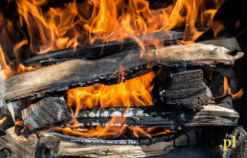 płonące drewno, idealna wilgotność drewna opałowego nie przekracza dwudziestu procent
