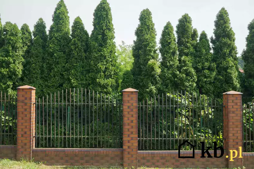 Eleganckie ogrodzenie z cegły klinkierowej
