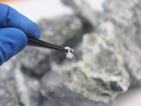 Koniec kar za azbest na posesji