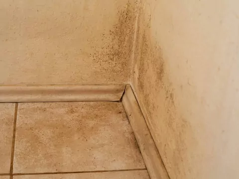 Kapilarne podciąganie wilgoci