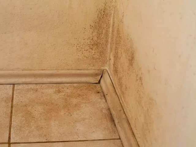 Kapilarne podciąganie wilgoci