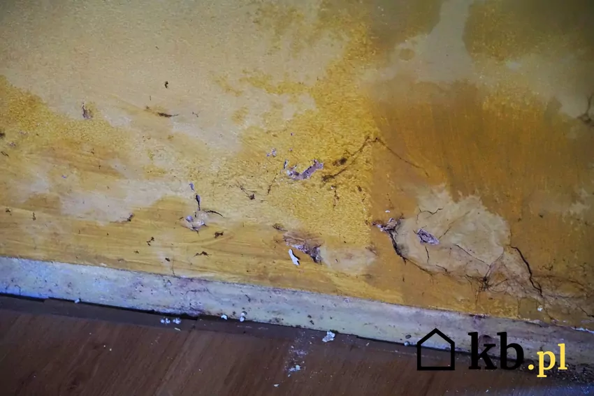mokra ściana w domu