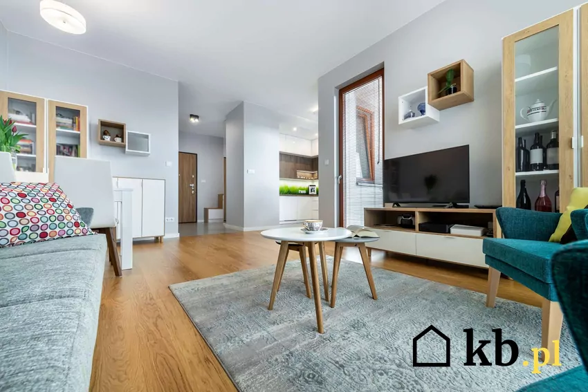 Wnętrza domów szkieletowych mogą być nowocześnie urządzone i funkcjonalne Wnętrze mieszkalne w nowoczesnym stylu