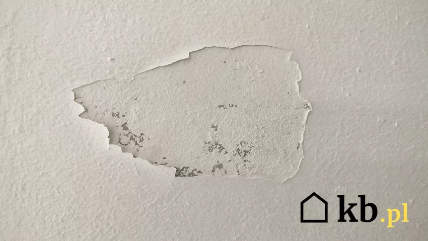 Wilgoć może prowadzić do odspajania się farby oraz kruszenia tynku ściana zniszczona przez wilgoć
