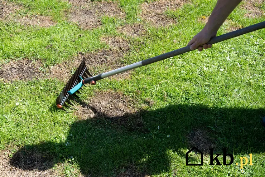 Puste miejsca i plamy powstają na skutek mrozu i wilgoci