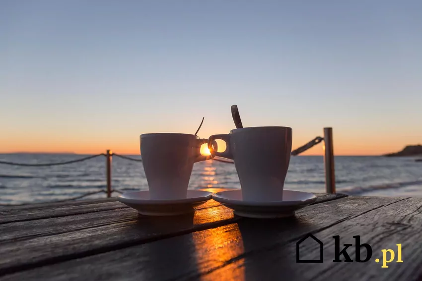 Dwa kubki na tle zachodzącego słońca