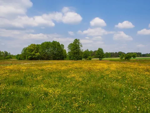Zmiany w zasadach gospodarowania gruntami