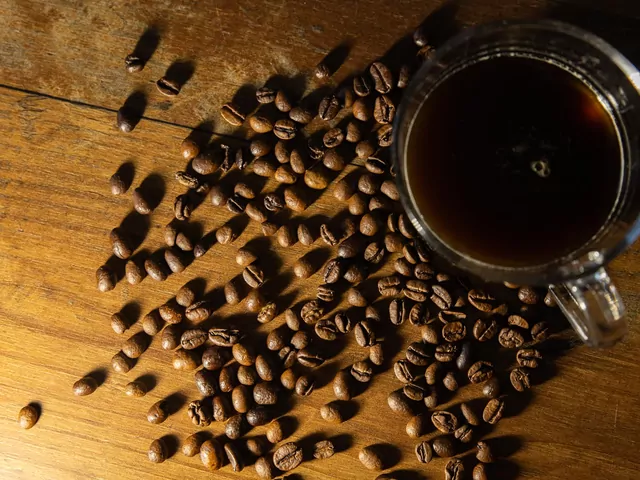 Kawa ziarnista w Dino w promocji