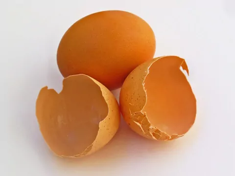 Nawozy do ogrodu z odpadów kuchennych