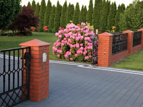 Białe plamy na kostce brukowej