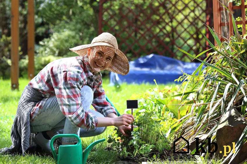 Kobieta pracująca w ogrodzie