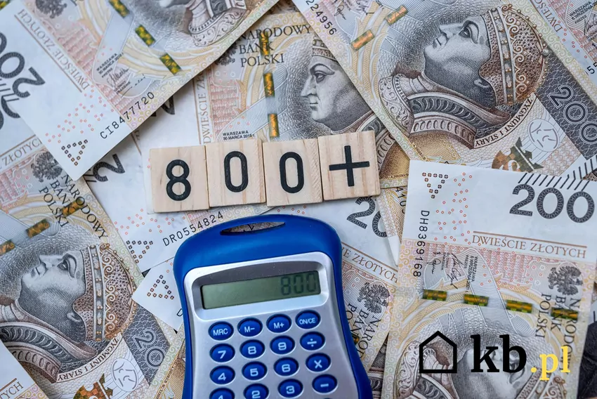 Pieniądze, kalkulator - symbole Programu Rodzina 800+