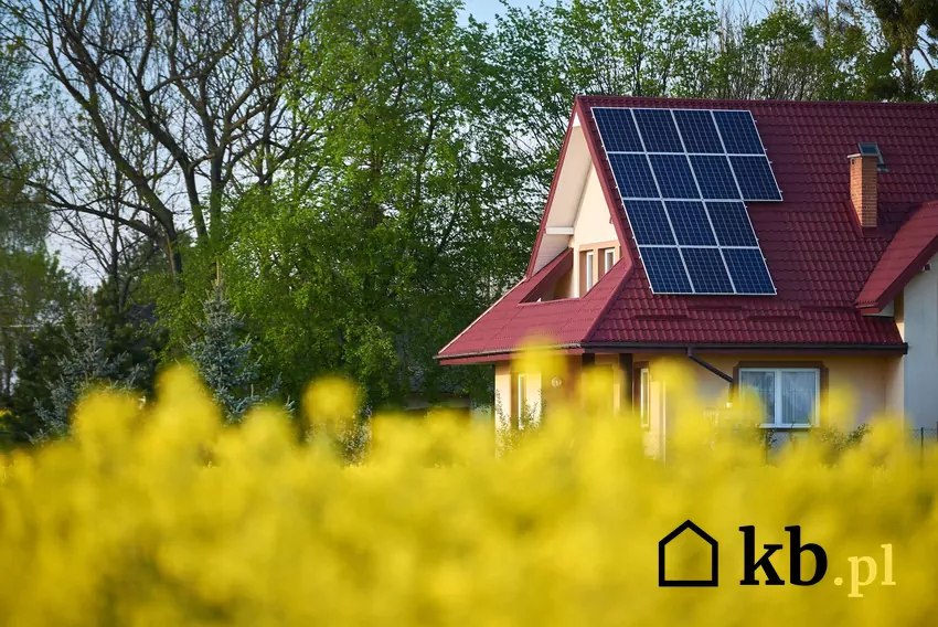 dom na wsi, pole rzepaku