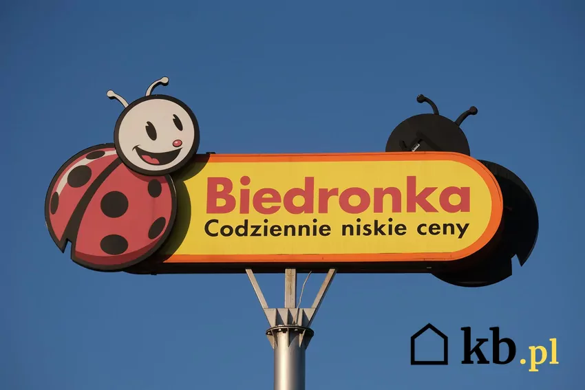 Promocje w Biedronce