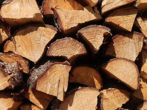 Ceny drewna kominkowego 2026