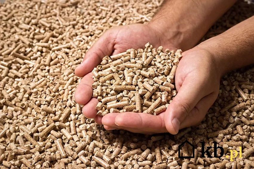 Pellet drzewny trzymany w dłoniach