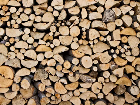 Drewno bukowe a sosnowe do kominka