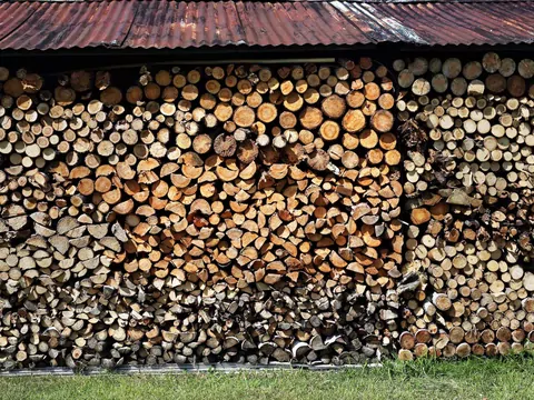 Dlaczego drewno po roku nadal jest mokre?