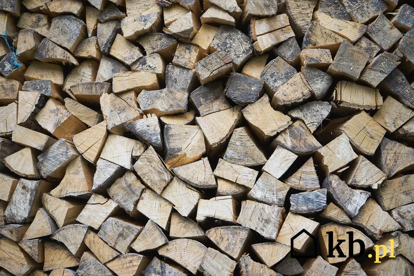 drewno