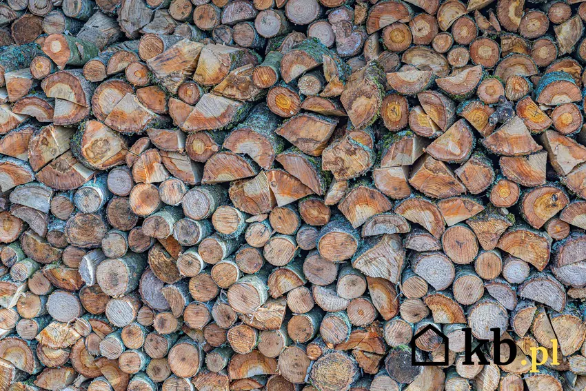 drewno opałowe