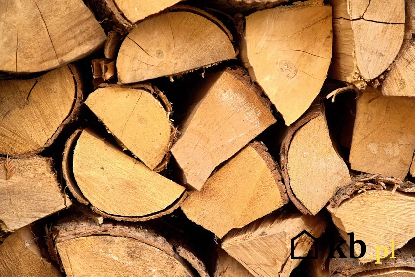 drewno bukowe na opał
