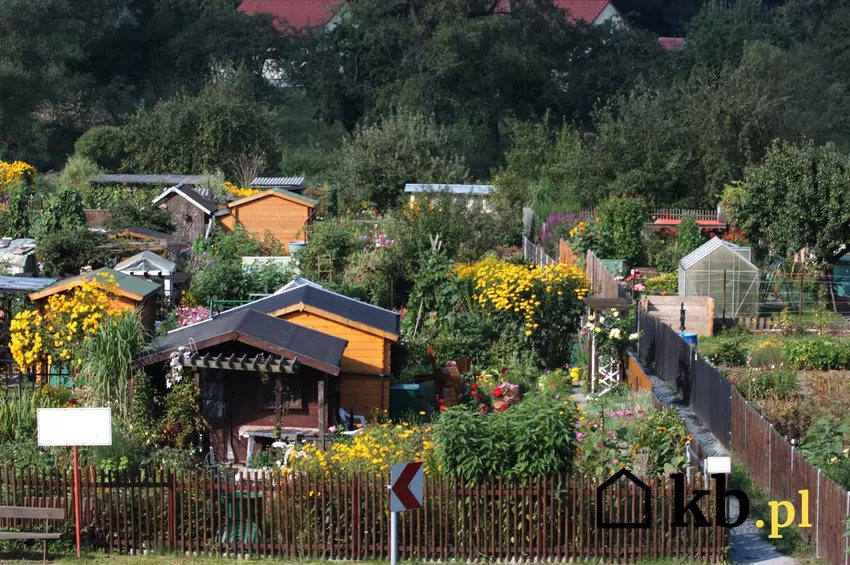 rodzina ogródki działkowe