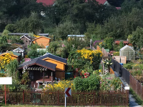 Dofinansowanie na remont ogródków działkowych