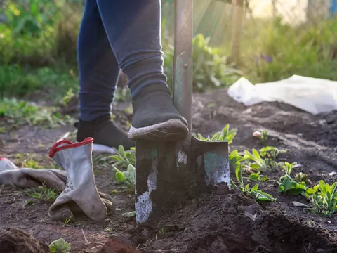 Skadowanie ziemi na działce