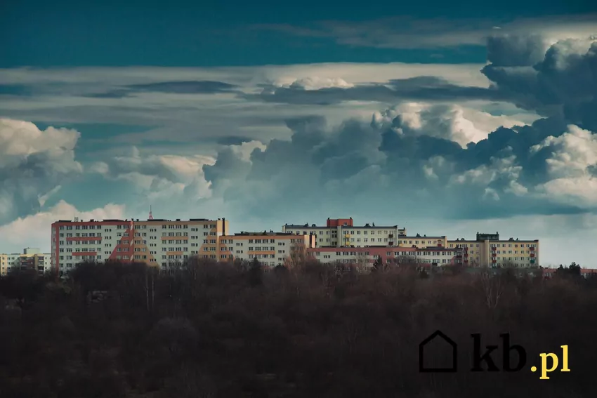 bloki