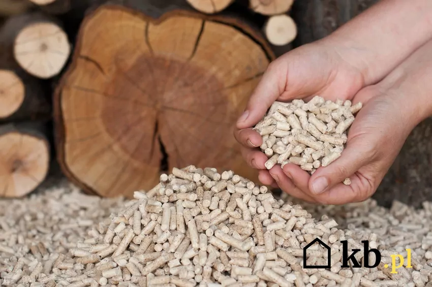 Pellet domowej produkcji kusi niską ceną pellet drzewny, drewno