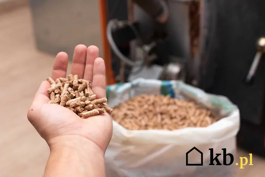 Pellet na ręku i w worku, a także produkcja pelletu krok po kroku, czyli sposoby na pozyskiwanie, najważniejsze informacje, cena i koszt ogrzewania pelletem