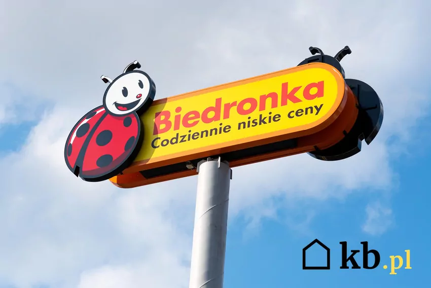 Nowe promocje w Biedronce od 25 maja Biedronka