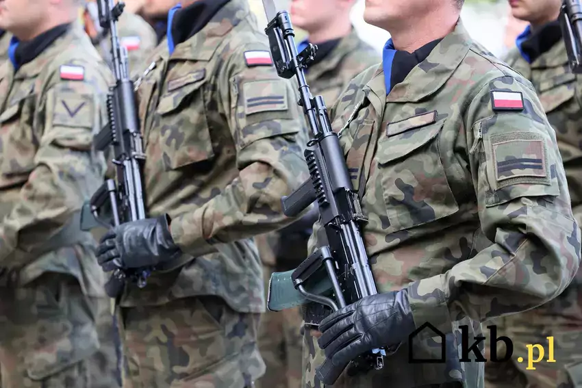 Żołnierze Wojska Polskiego w szeregu.