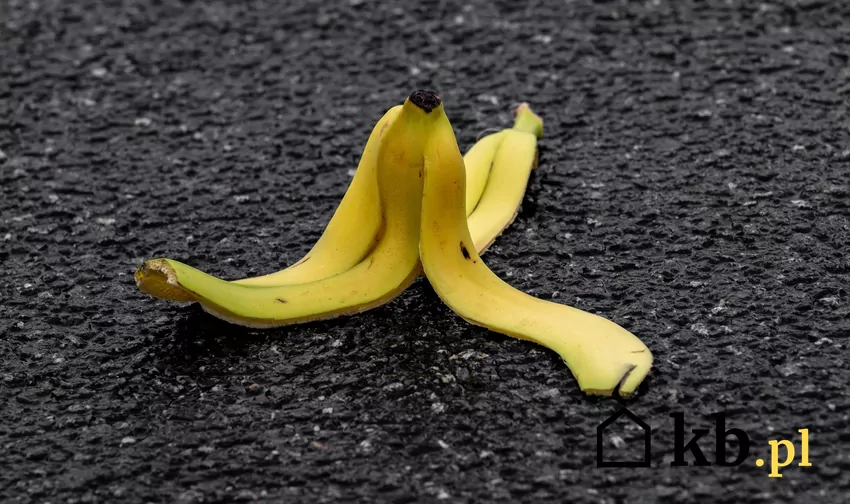 Banany cieszą się dużą popularnością, a ich spożycie w Polsce przekracza 7 kg na osobę Banany zawierają wiele cennych minerałów, które występują zarówno w miąższu owoców, jak i w skórce
