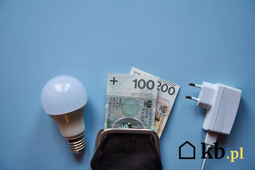 Wymiana oświetlenia na LED może przynieść oszczędności Żarówka LED, kabel i pieniądze leżą obok siebie