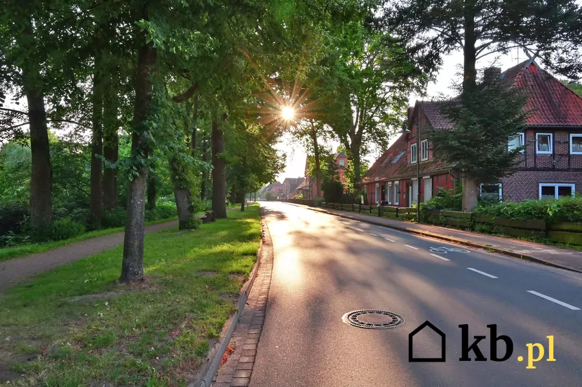 Moc chłodzącą jednego drzewa można porównać do 2-3 klimatyzatorów pokojowych