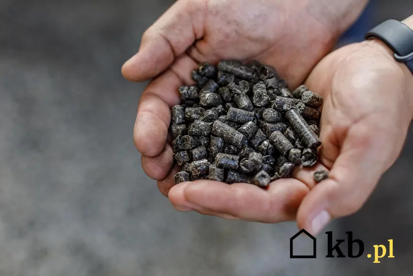Alternatywą dla pelletu drzewnego może być pellet agro Pellet wytwarzany z odpadów rolniczych może uzupełniać niedobory pelletu drzewnego
