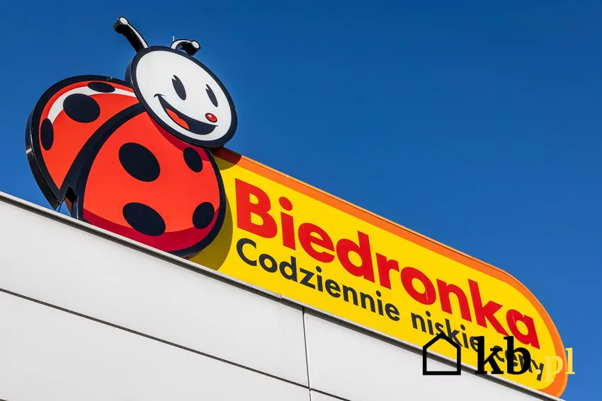 W nowej gazetce Biedronki obniżone ceny wielu produktów Biedronka