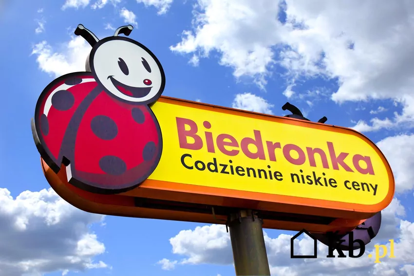 W nowej gazetce Biedronki obniżone ceny wielu produktów Biedronka